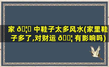 家 🦉 中鞋子太多风水(家里鞋子多了,对财运 🐦 有影响吗)